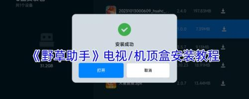 野草助手电视/机顶盒安装教程